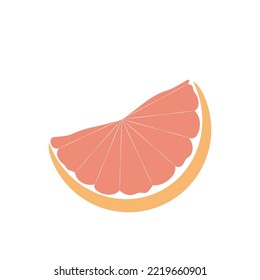 a slice of grapefruit flat illustration