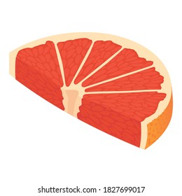 Slice grapefruit icon. Isometric of slice grapefruit vector icon for web design isolated on white background