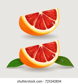 Slice of grapefruit realistic Vector illustration.