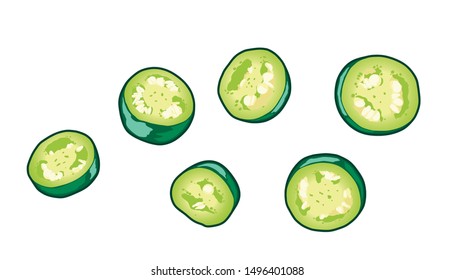 Slice green jalapeno peppers on white background.Vector Design.