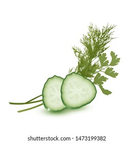 Slice of juicy cucumber and greens isolated on white background. Realistic 3d illustration, Vector EPS 10 format