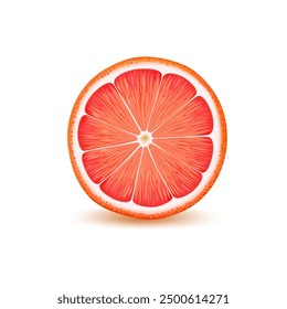 Slice of juicy ripe realistic Grapefruit, on white background.
