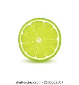 Slice of juicy ripe realistic lime, on white background.