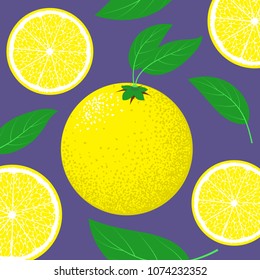 Slice of Lemon. Citrus Fruit Background with Green Petals. Stylized Flesh of Lemon in Hipster Style for Illustration, Advertizing, Card, Marketing.