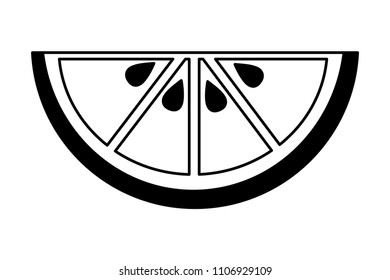 slice lemon citurs fresh image