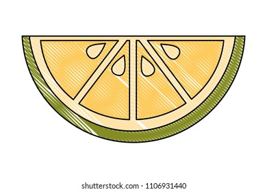 slice lemon citurs fresh image