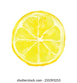 Slice Of Lemon Drawing By Watercolor, Hand Drawn Vector Illustration