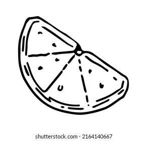 Slice of lemon fruit sketch clipart. Citrus exotic fruit doodle isolated on white. Hand drawn vector illustration in engraving style.