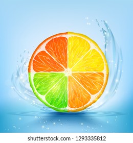 Slice of lemon, lime, orange and grapefruit in water splashes and drops. Stock vector illustration.
