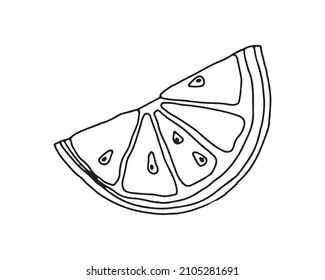 Slice of lemon, lime. Set of vegetables and fruits, line drawing, black outline, contour.