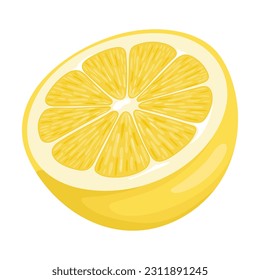 Slice of a lemon on a white background. Flat vector lemon. Lemon cut across.