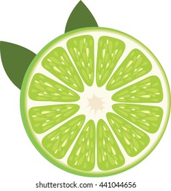 Slice of lemon. Orange. Lime.