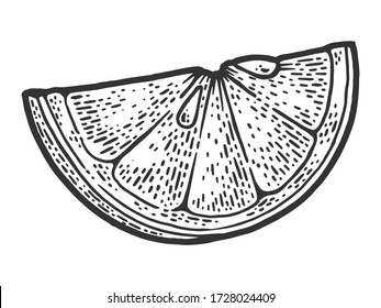 slice of lemon sketch engraving vector illustration. T-shirt apparel print design. Scratch board imitation. Black and white hand drawn image.