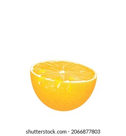 Slice of lemon. vector illustration