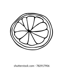 A slice of lemon vector illustration. Doodle style. Design, print, decor, textile, paper