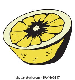 Slice of lemon. Yellow lemon for tea. Vitamin C. Citrus fruit. Cartoon style. Vector illustration isolated for design and decoration.