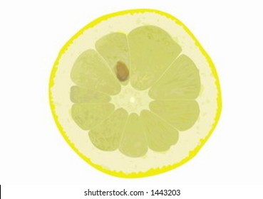 Slice of a lemon.Drawing