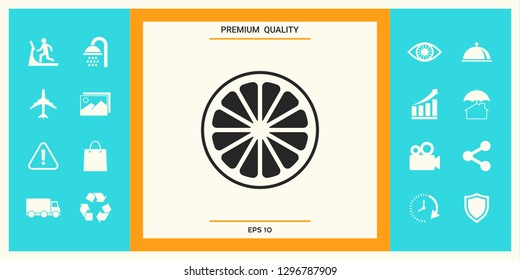 Slice of lemon,orange or other citrus fruit icon