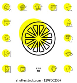 Slice of lemon,orange or other citrus fruit - line icon