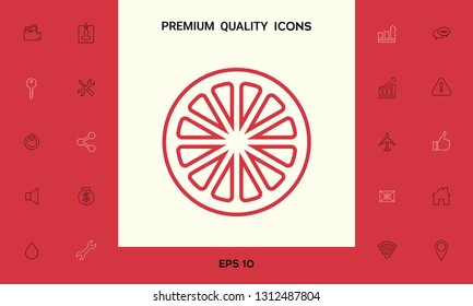 Slice of lemon,orange or other citrus fruit - line icon