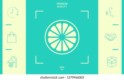 Slice of lemon,orange or other citrus fruit icon