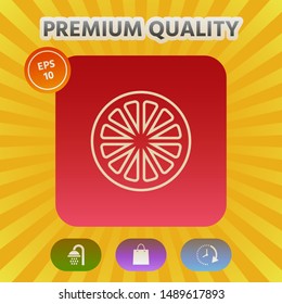 Slice of lemon,orange or other citrus fruit - line icon