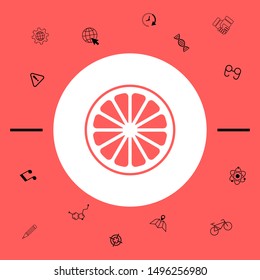 Slice of lemon,orange or other citrus fruit icon