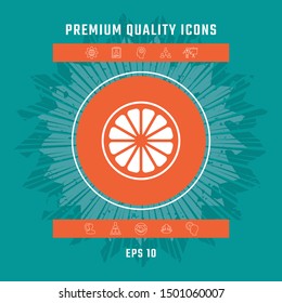 Slice of lemon,orange or other citrus fruit icon