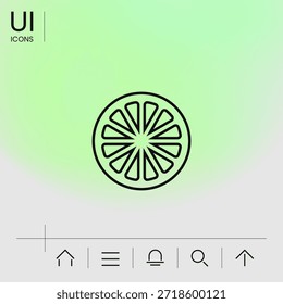 Slice of lemon,orange or other citrus fruit - line icon. Signs and symbols for your design