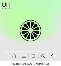 Slice of lemon,orange or other citrus fruit icon. Signs and symbols for your design