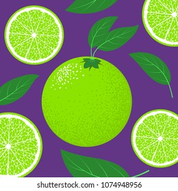 Slice of Lime. Citrus Fruit Background with Green Petals. Stylized Flesh of Lime in Hipster Style for Illustration, Advertizing, Card, Marketing.