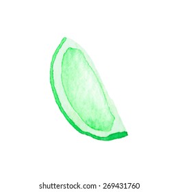 Slice of lime. Hand-drawn citrus. Real watercolor drawing.  Vector illustration. Traced painting