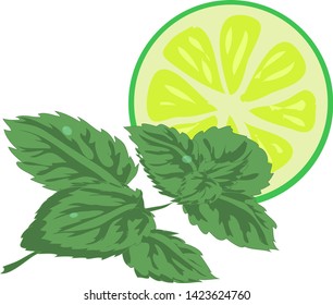 a slice of lime, lemon and branch of mint, mojito