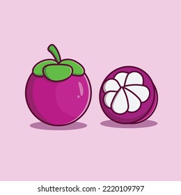 Slice of mangosteen cartoon illustration. Mangosteen vector cartoon. Fresh fruit cartoon design vector