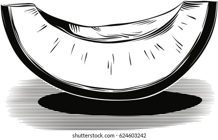 Slice of melon on a white background.