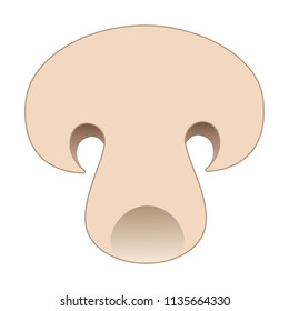 Slice of mushroom. Top view macro detail sliced fresh mushroom texture. Vector illustration isolated on white background.