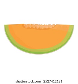 Tranche de fruit de melon cantaloup orange isolée sur fond blanc. Illustration vectorielle