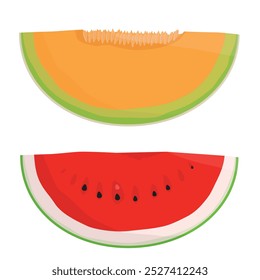 Tranche de melon cantaloup orange et pastèque isolée sur fond blanc. Illustration vectorielle