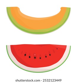 Slice of orange cantaloupe melon and watermelon isolated on white background. Vector illustration
