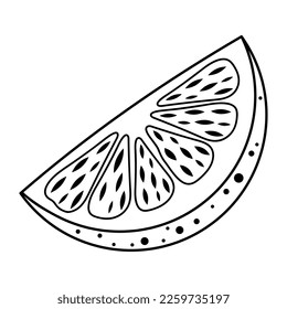 Slice von orangefarbenen Früchten. Handgezeichnete Illustration im Doodle-Stil.