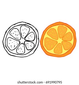 Slice of orange or grapefruit. Citrus fruit is cut into rings. Vector illustration.