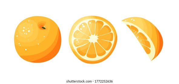 Slice of orange, half tangerine, whole citrus isolated on white vector cartoon elements