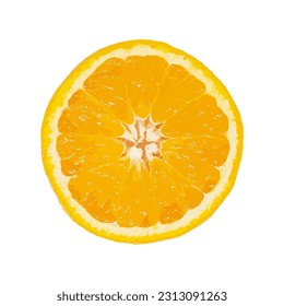 slice of orange isolated on white. vector illustration
