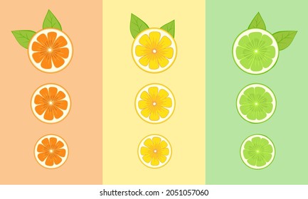 Ropa de naranja, limón, lima, pomelo, mandarina, cítricos. Vector de estilo plano, Ilustración para fondos, fondos de escritorio, embalaje, tarjetas de felicitación, carteles, pegatinas, diseño estacional.