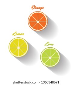 slice of orange, lime and lemon vector
