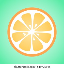 Slice of orange on green background. Vector illustration.