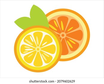 Slice of Orange in the section. Vector flat fruit illustration