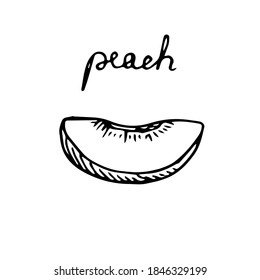 A slice of peach, vector illustration, sketch