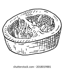Slice pepper chilli. Vintage vector hatching gray monochrome illustration. Isolated on white background. Hand drawn design
