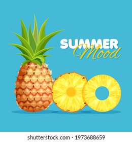 Slice and piece of pineapple isolated on blue background. Vegan food vector icons in a trendy cartoon style. Summer banner concept.